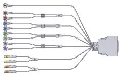 Kabel EMG/EMS 4+2 kanały do Stella BIO